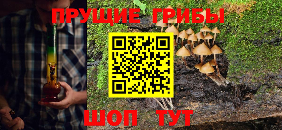 Галлюциногенные грибы Cubensis Гатчина