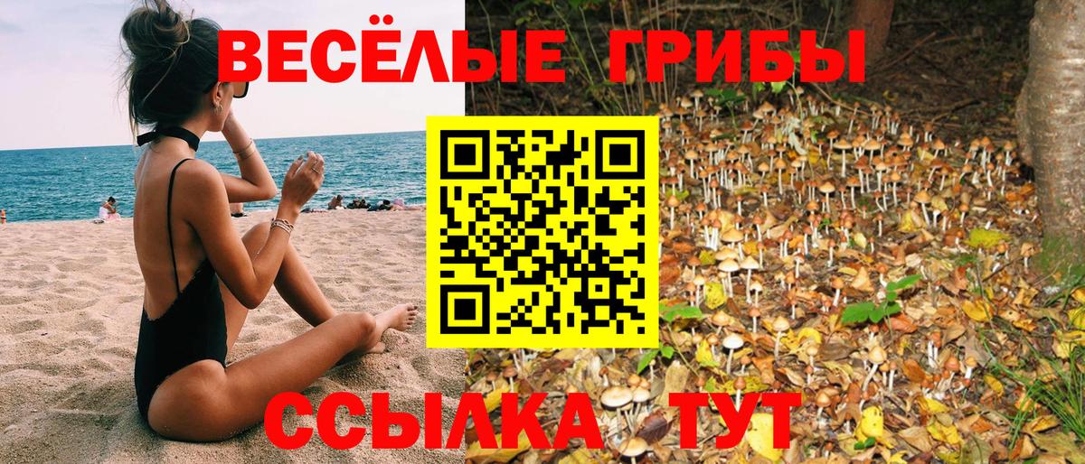 Гатчина  Псилоцибиновые грибы MAGIC MUSHROOMS  Вход с VPN 